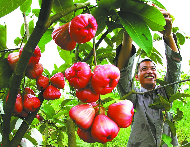 z04.jpg z04.jpg