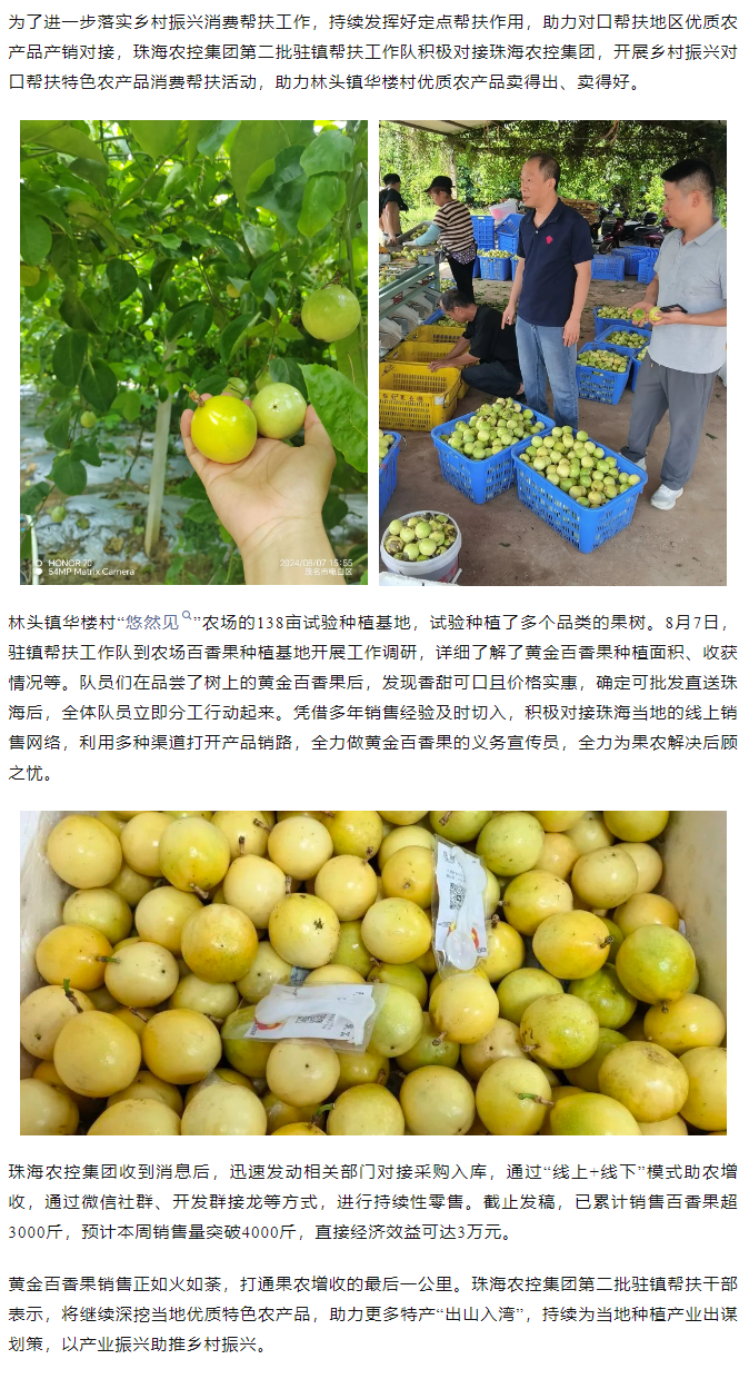 珠海世界杯官方入口集团助力产销对接 对口帮扶果香飘百里.png